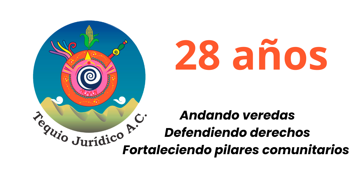 28 años